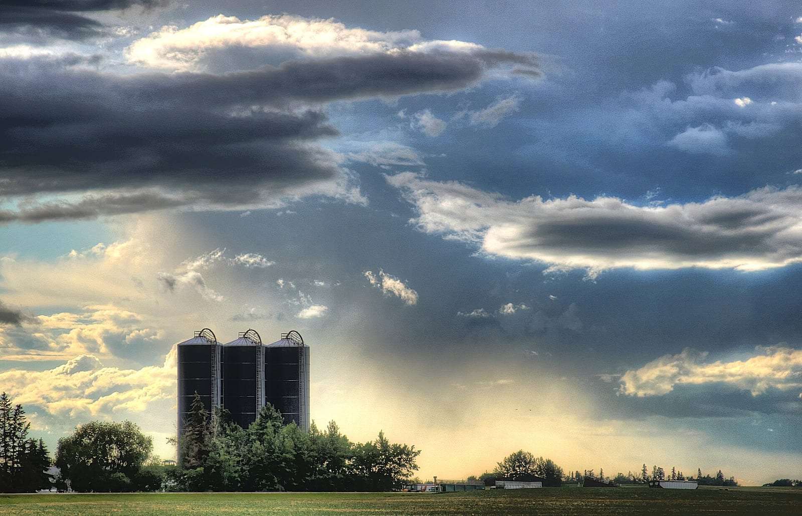 Grain bins under a passing rain shower on farmland in Leduc County, Alberta